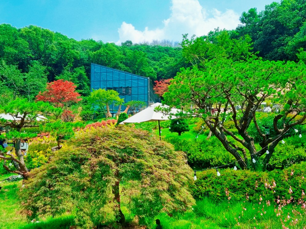 경기도 시흥 산골수목원: 연분홍 수국이 있는 식물원 카페