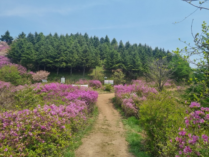 바래봉삼거리