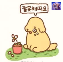  실수들에 자책하며 화날 때가 많아요