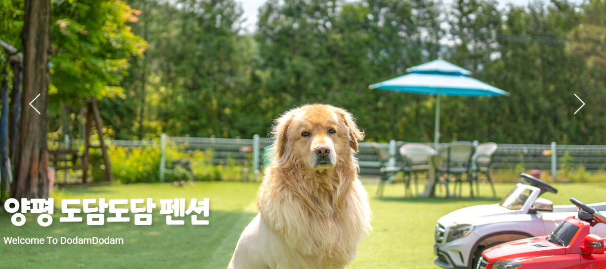 양평 도담도담 애견 펜션