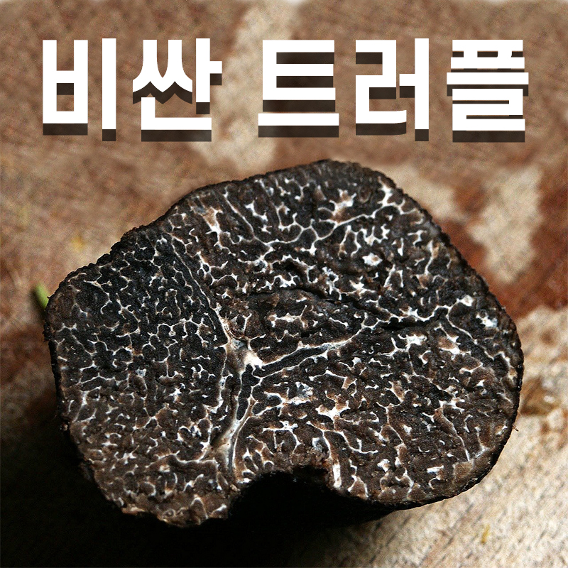  송로버섯(a.k.a. 트러플)이 비싼 이유!