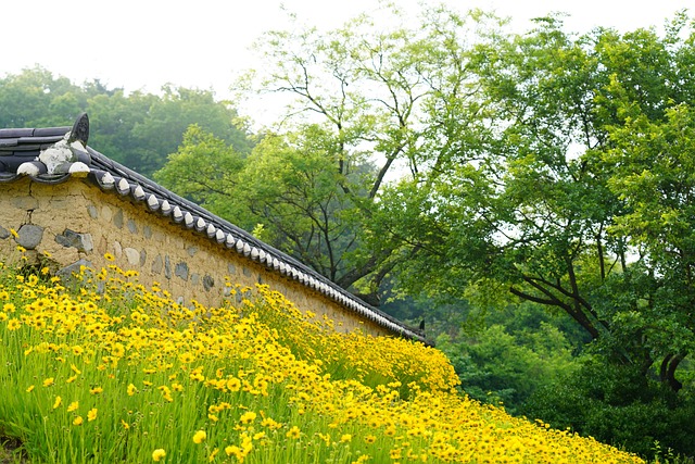 경주 양동마을