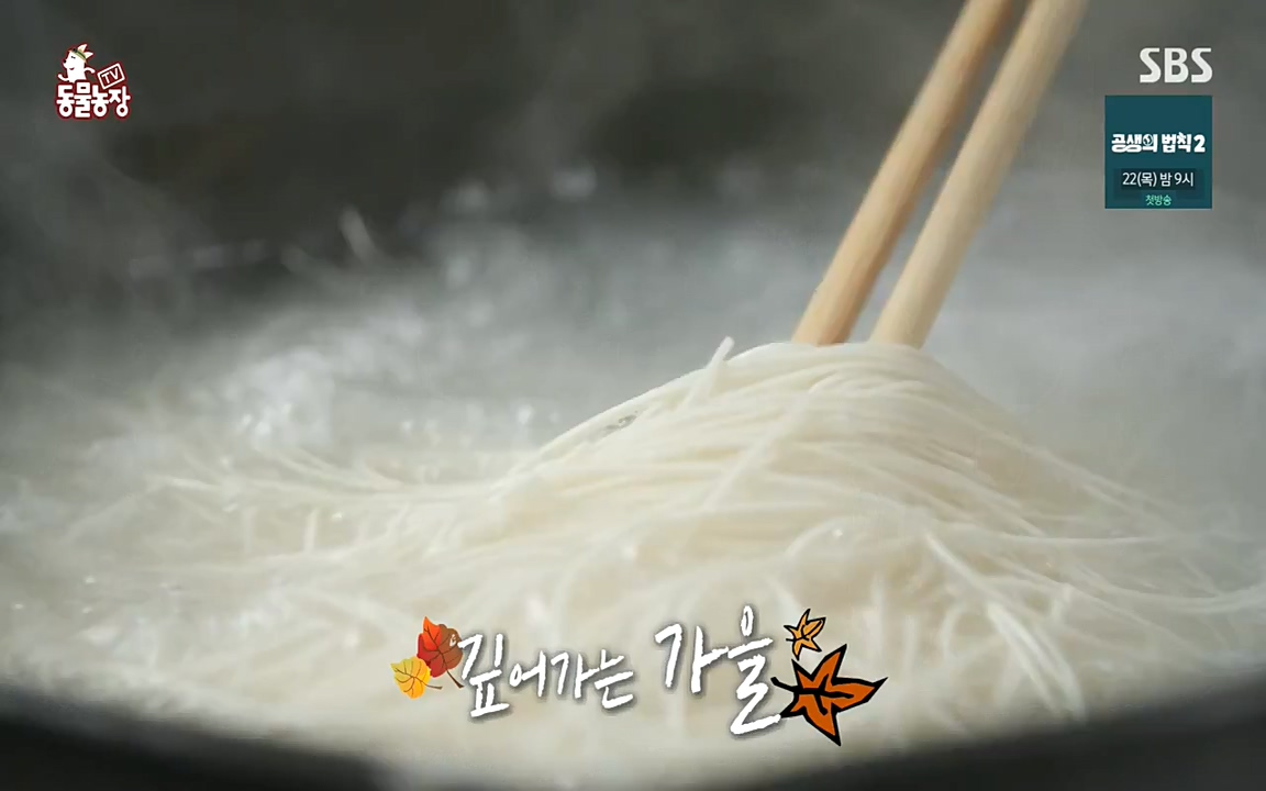 TV 동물농장.E1087.220919p-NEXT.mp4_20220918_180215.118.jpg
