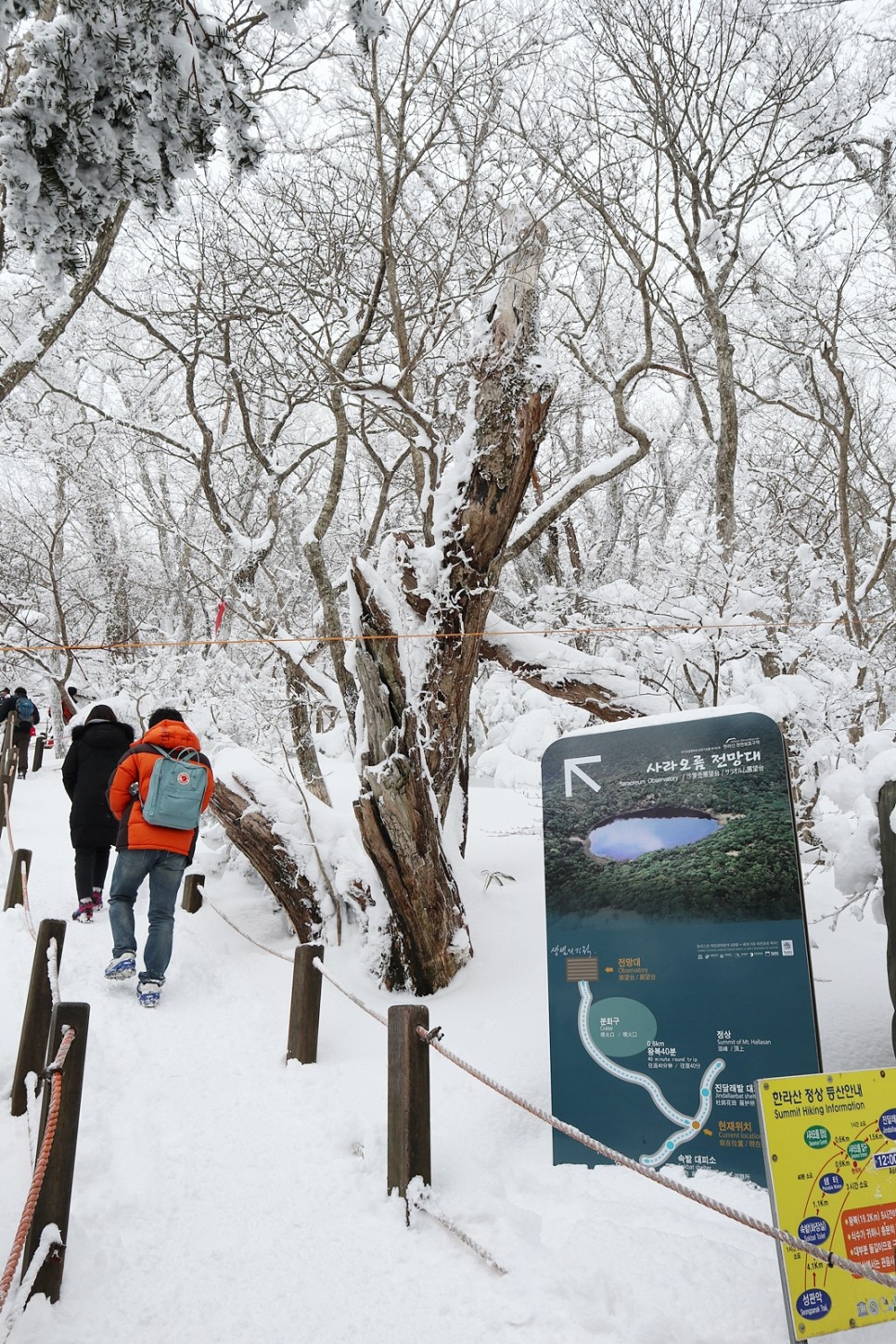 눈쌓인 겨울산 이미지 60