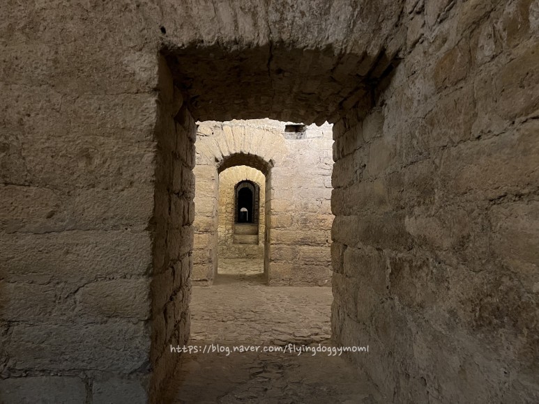 1세기는 포르투갈] 1세기 로마시대 지하 회랑을 경험할수 30