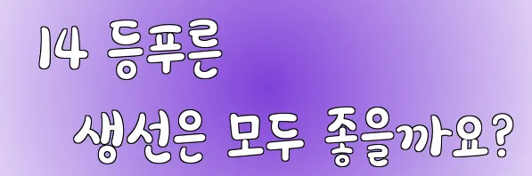  14 등푸른 생선은 모두 좋을까요?