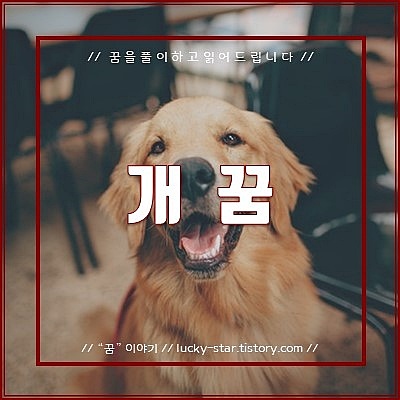  【꿈해몽/꿈풀이】개(강아지) 꿈