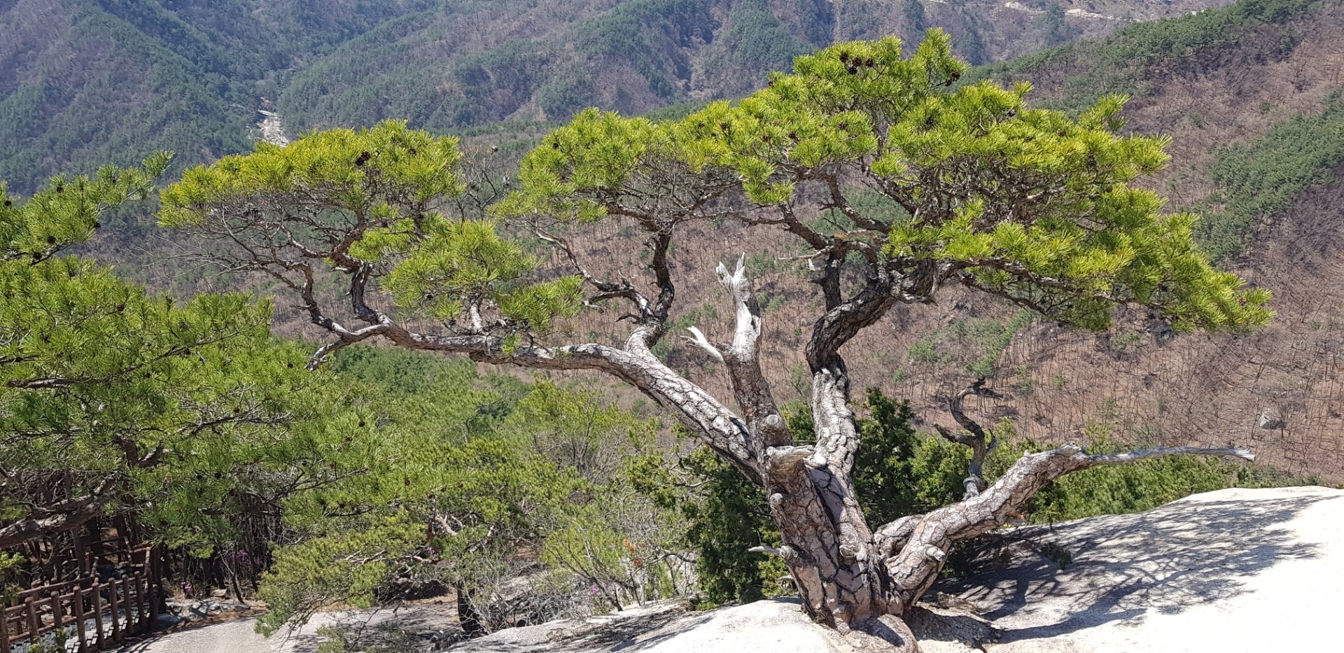 거창 현성산