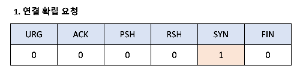 SYN 활성화됨