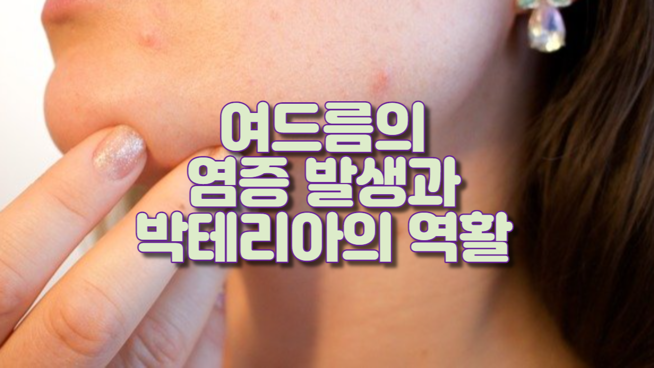  여드름의 염증 발생과 박테리아의 역활