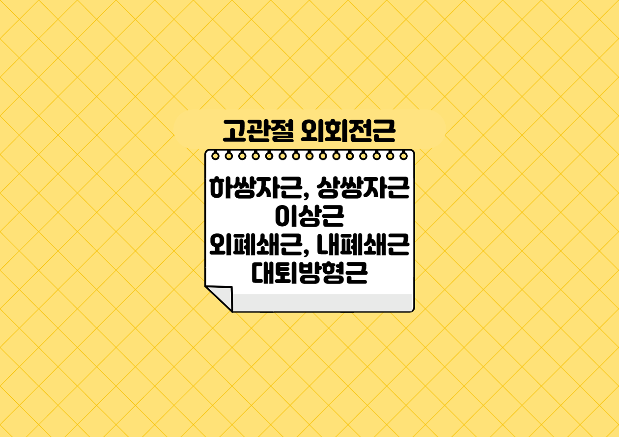 고관절 외회전근, big6 1