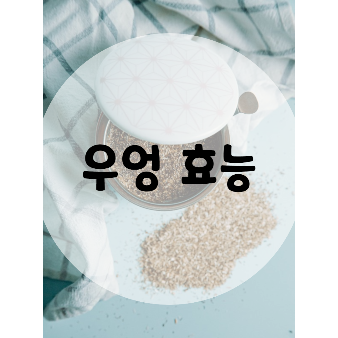  우엉차 효능 10가지 정말 좋아