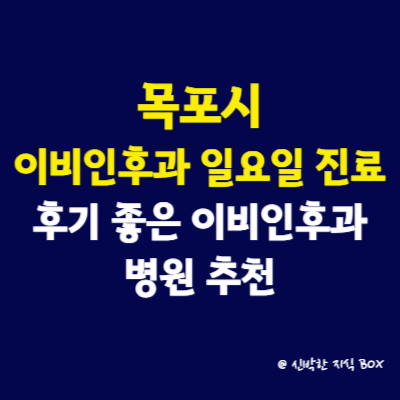 목포시 이비인후과 일요일 진료 병원, 후기 좋은 이비인후과 병원 추천