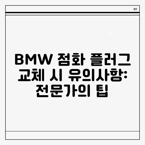 BMW 점화 플러그 교체 시 유의사항: 전문가의 팁
