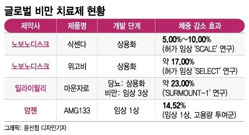 비만치료제 대장주 관련주 TOP5 총정리_5