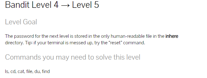  CTF Bandit Level 4 → Level 5 강좌 - 패스워드 탐색