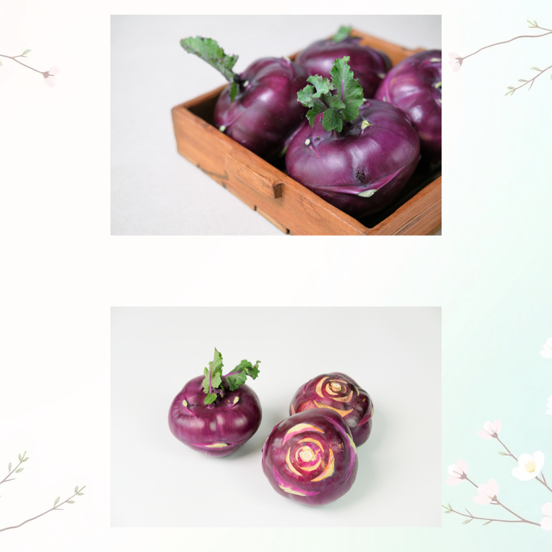 콜라비 사진