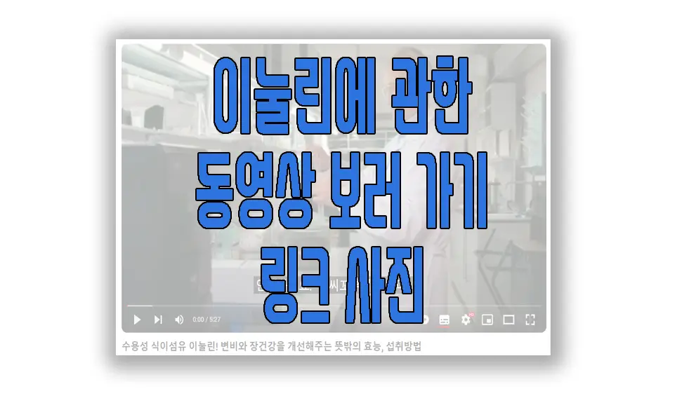 이눌린에 관한 동영상 보러 가기 링크 사진