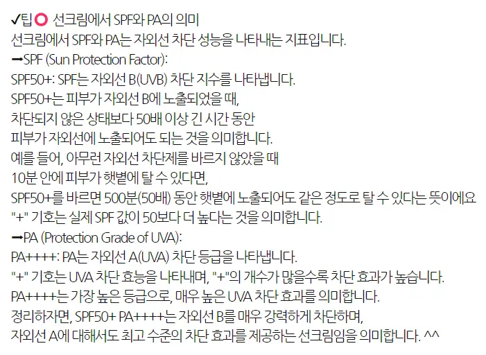사진7