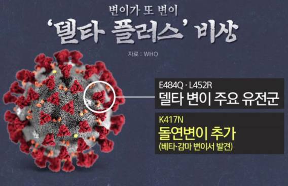  델타 코로나 바이러스 감염속도 심각성! 지금 장난합니까?