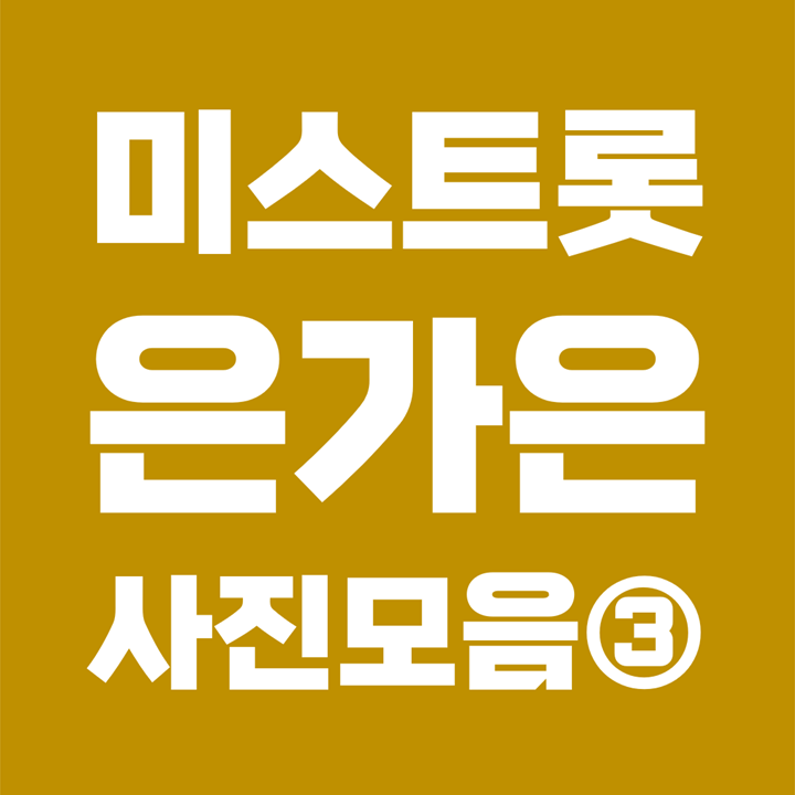  [사진모음 3/7] 미스트롯2 은가은 Eungaeun 성형 과거사진 (본명 : 김지은 / 1987년생 / 동주대학)
