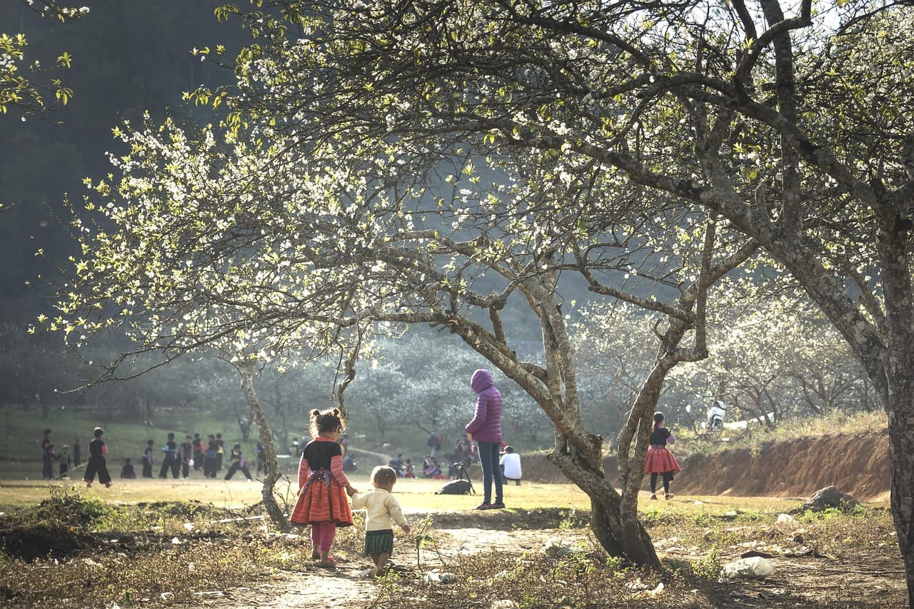 히말라야 셰르파족의 산악 신앙과 의식: 자연과 신성의 조화