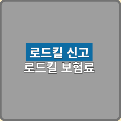 로드킬 사고 신고와 자동차보험료 할인할증 바로알기