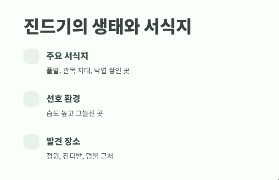 집에서 진드기 퇴치법 완벽 정리 2
