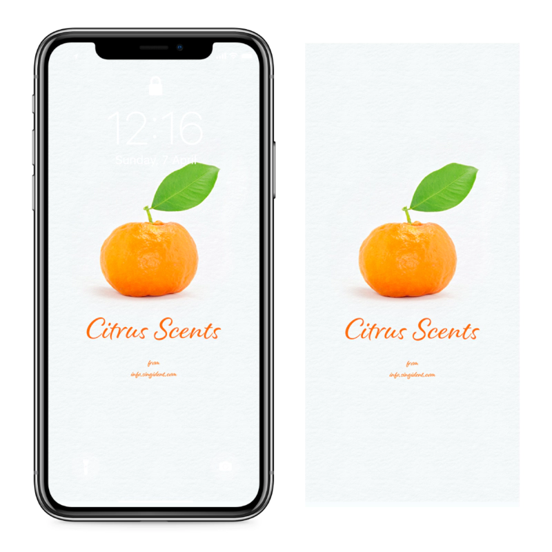 01 녹색 잎이 달린 감귤 C - Citrus Scents 아이폰주황색배경화면