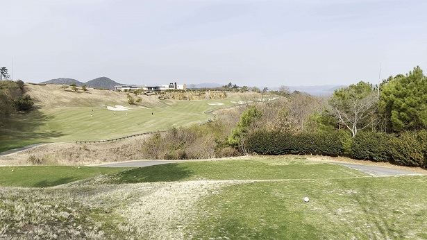 드비치cc 골프라운딩 풍경