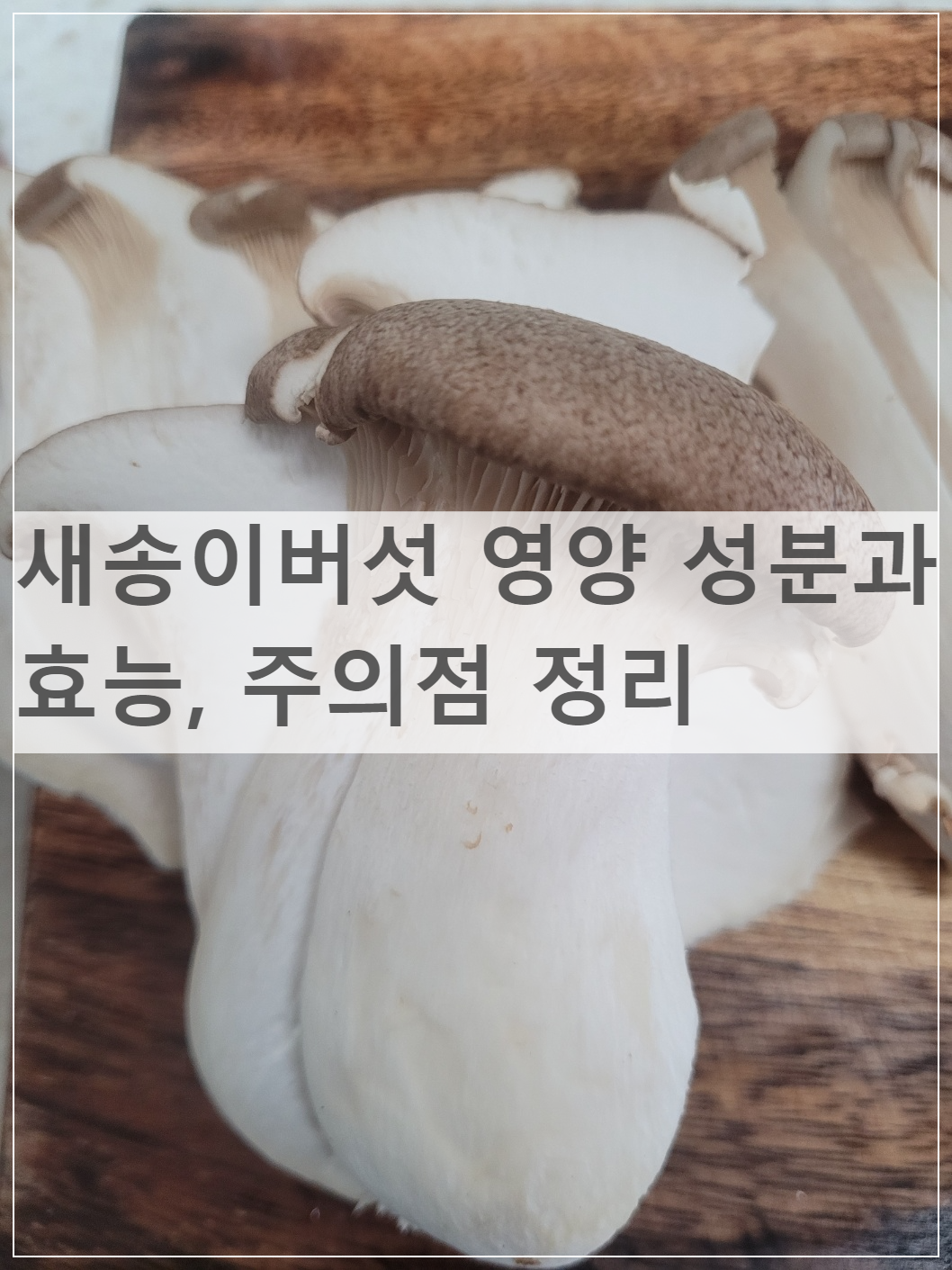 새송이버섯 영양 성분과 효능&#44; 주의점 정리