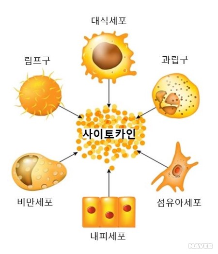  코로나 치료제 관련주 정리