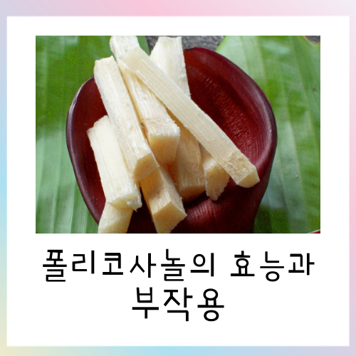  폴리코사놀의 효능과 부작용 정리