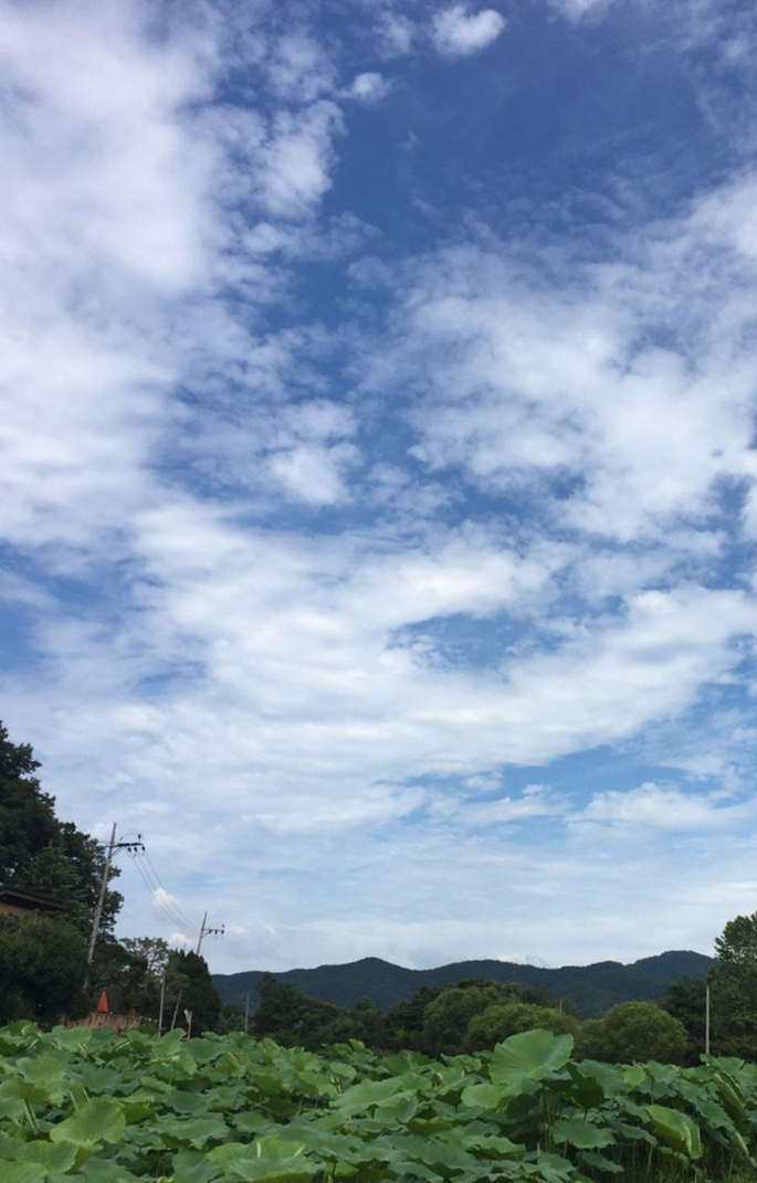  기운을 돋우게 하는 봄철 건강 음식