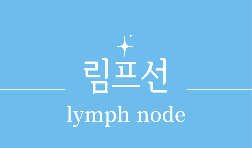'림프선(lymph node)'