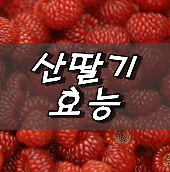  "자연에서 찾은 건강의 보석, 산딸기의 10가지 효능과 이점"