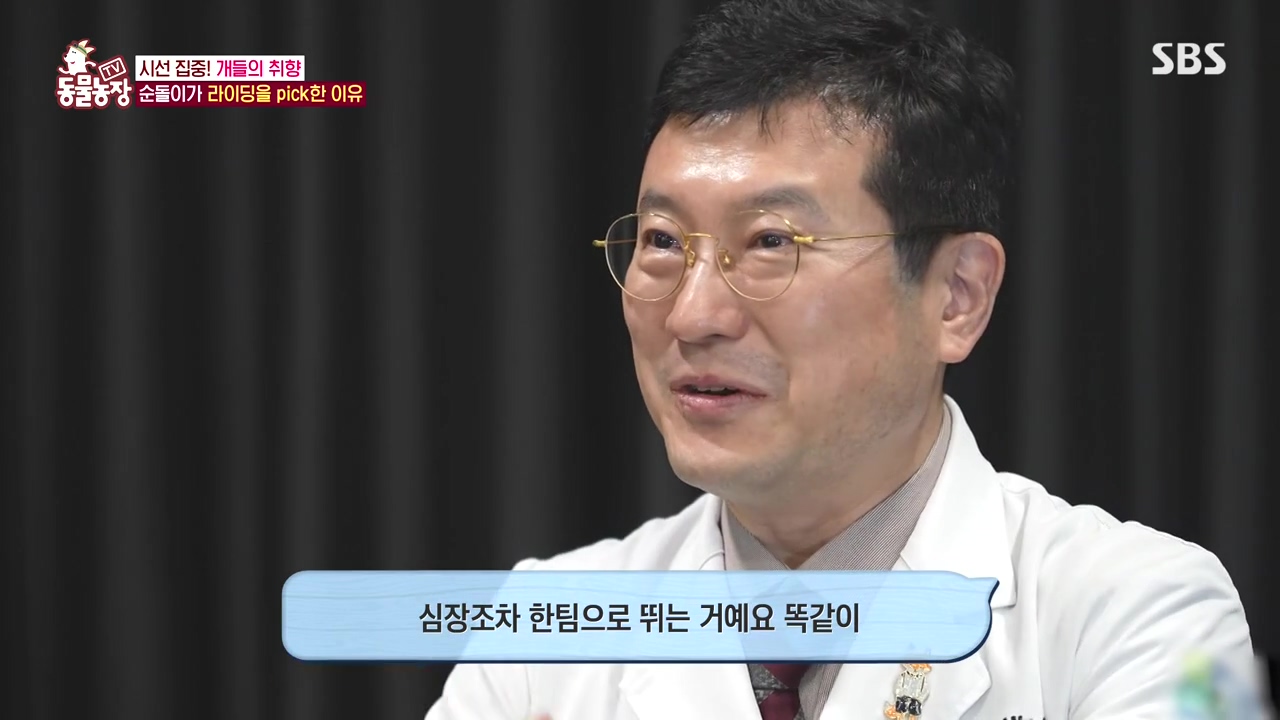 TV 동물농장.E1152.231232p-NEXT.mp4_20231231_165727.480.jpg