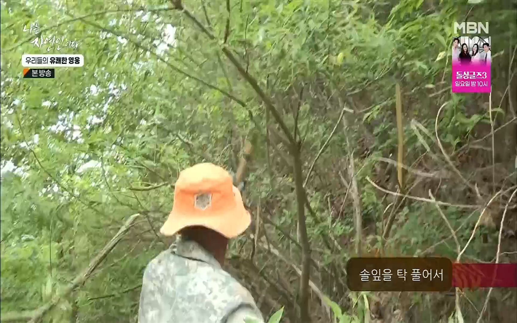 나는 자연인이다.E508.220629p.H264-F1RST.mp4_20220630_203348.823.jpg