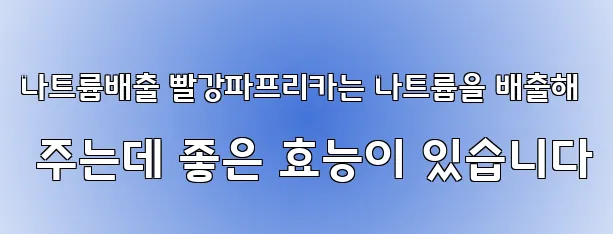 나트륨배출 빨강파프리카는 나트륨을 배출해 주는데 좋은 효능이 있습니다