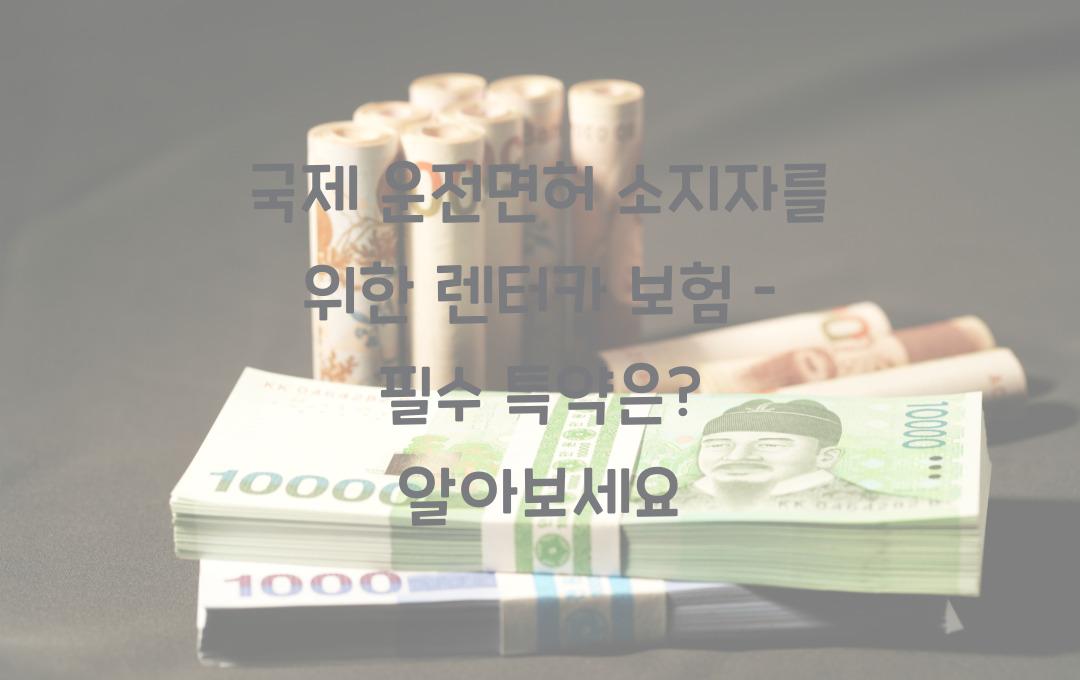 국제 운전면허 소지자를 위한 렌터카 보험 – 필수 특약은?