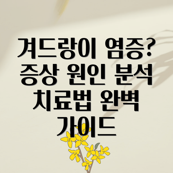 겨드랑이 임파선염