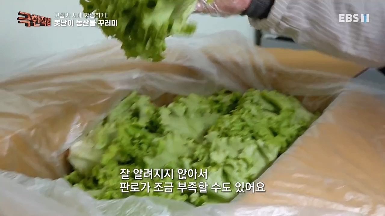 극한직업.E1046.221232p-NEXT.mp4_20230103_200858.366.jpg