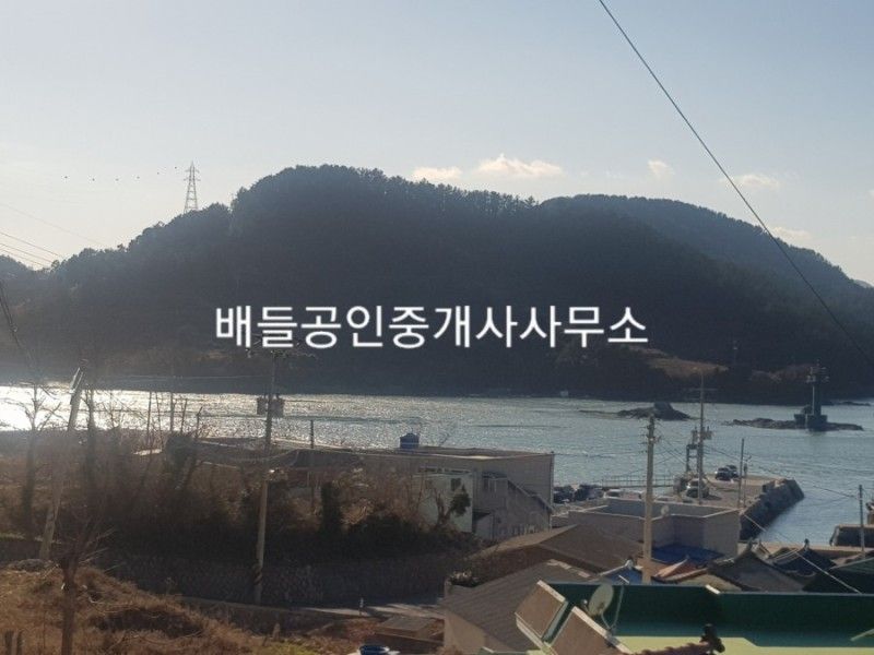 월호도요 이미지