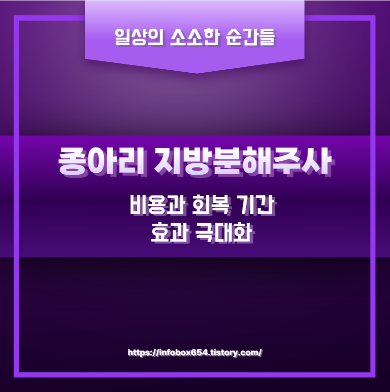 종아리 지방분해주사 비용과 회복 기간 효과 극대화