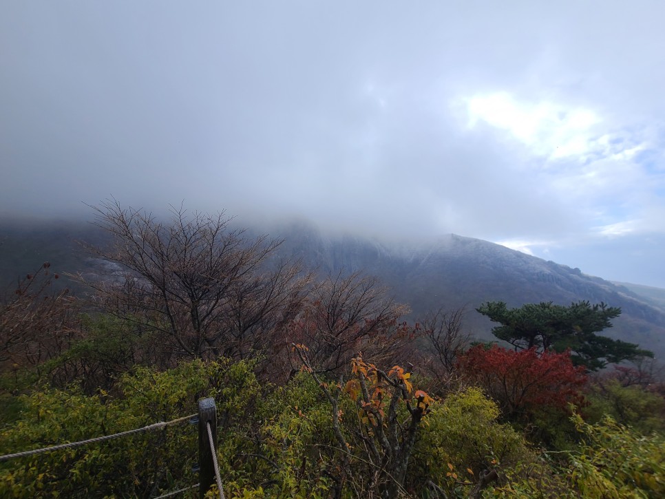 한라산 영실탐방로
