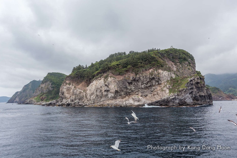 울릉도 여행 가볼만한곳 유람선 배 타기 국내 바다 추천 경북 동해안 2박3일 25
