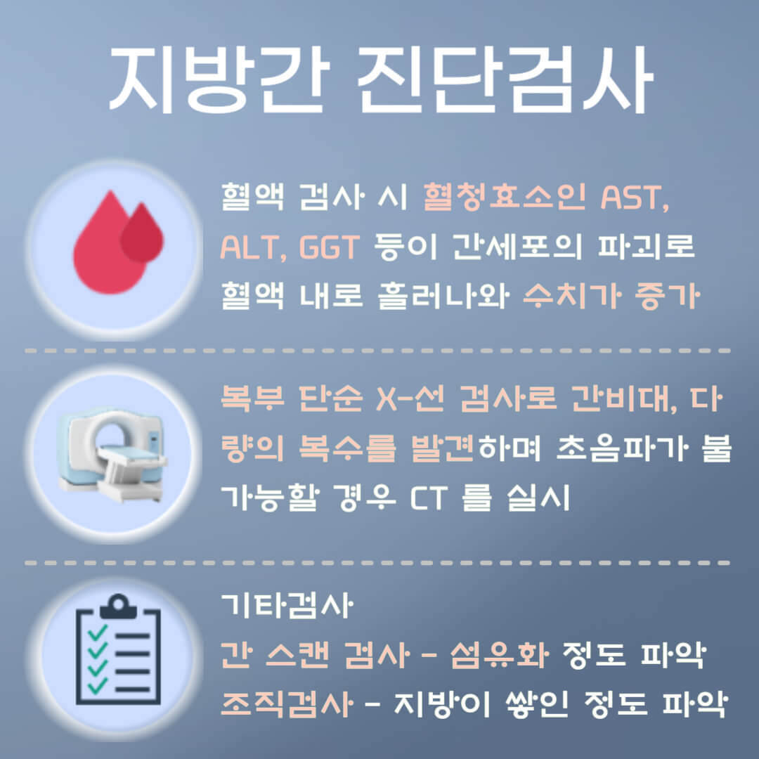 지방간 진단검사