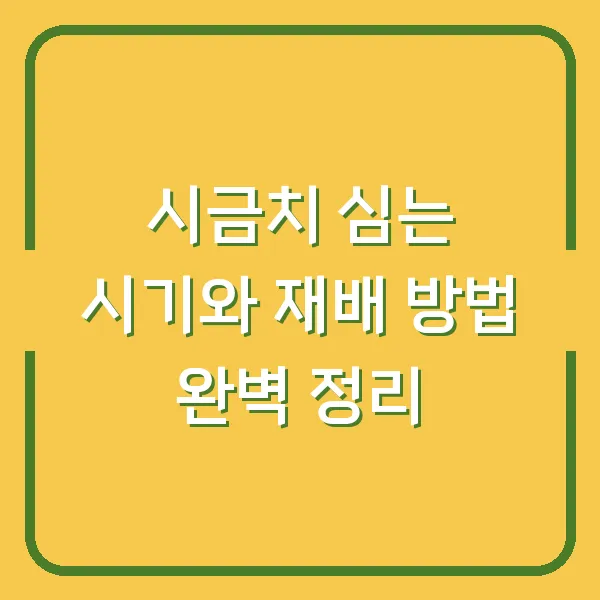 시금치 심는 시기와 재배 방법 완벽 정리
