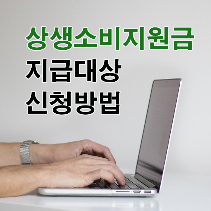 상생소비 지원금 신청자격, 신청방법 알아보자. 노트북하는 남자