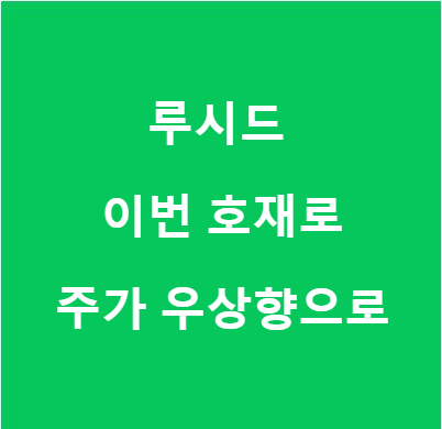 루시드 모터스 그룹 주가 전망 미국 주식 투자